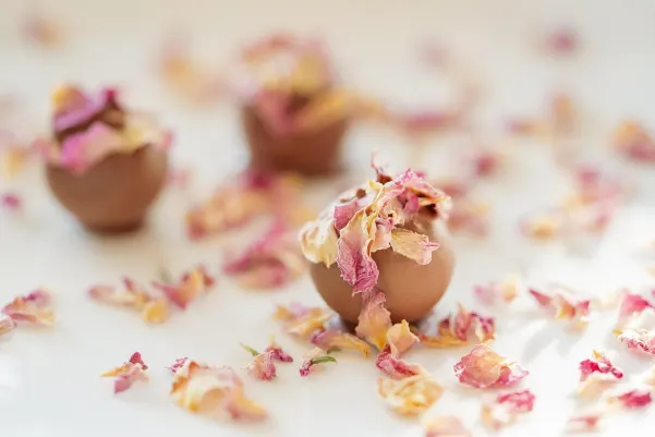 Bet24star Casino Android/iOS aplikacija